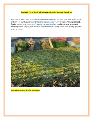 Protect Your Roof with Professional Cleaning Services