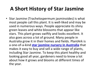 A Short History of Star Jasmine (1)