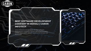 Transform Your Ideas with the Best Software Developers in Mohali with Caron Info