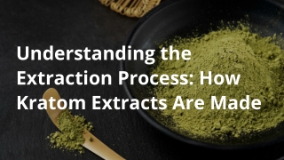 Understanding the Extraction Process_ How Kratom Extracts Are Made