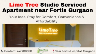 Comfort Meets Convenience Lime Tree Studio Apartments in Gurgaon (1)