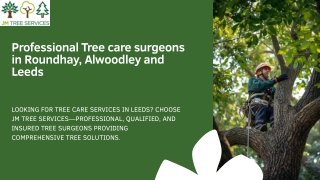 Bset Tree care surgeons in Roundhay, Alwoodley and Leeds