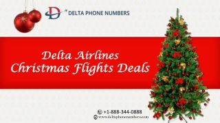 Celebrate Christmas | Best Time to Travel International