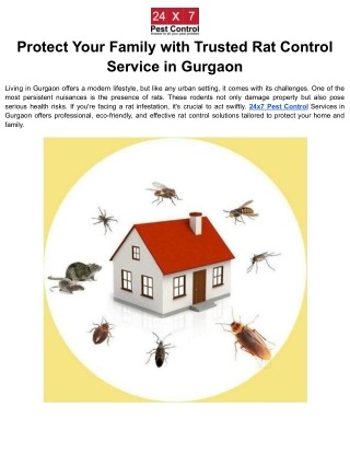 Protect Your Family with Trusted Rat Control Service in Gurgaon