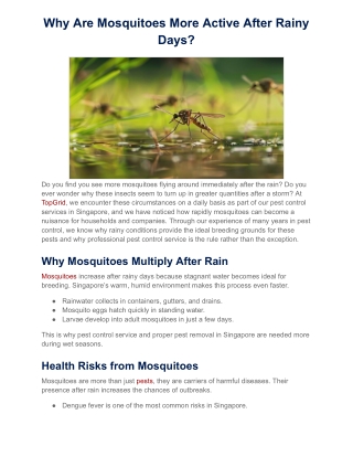 Why Are Mosquitoes More Active After Rainy Days?