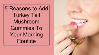 5 Reasons to Add Turkey Tail Mushroom Gummies To Your Morning Routine