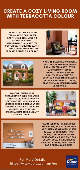 Create a Cozy Living Room with Terracotta Colour