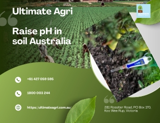Raise pH in soil Australia