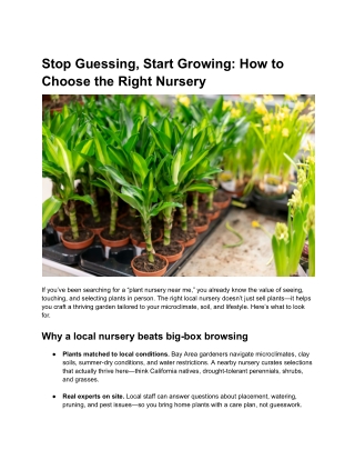 Stop Guessing, Start Growing: How to Choose the Right Nursery