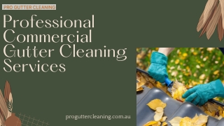 Professional Commercial Gutter Cleaning Services