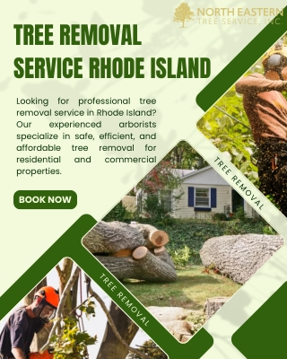 Tree Removal Service Rhode Island