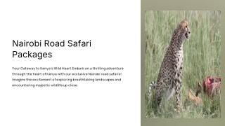Nairobi road safari packages