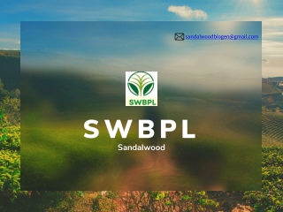 SWBPL