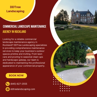 Commercial Landscape Maintenance Agency in Rockland  DDTree Landscaping