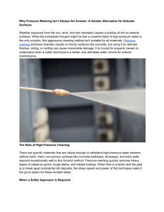 Why Pressure Washing Isn’t Always the Answer A Gentler Alternative for Delicate Surfaces