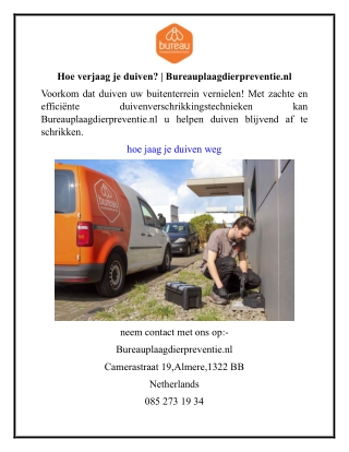 Hoe verjaag je duiven  Bureauplaagdierpreventie.nl