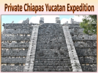 Private Chiapas Yucatan Expedition