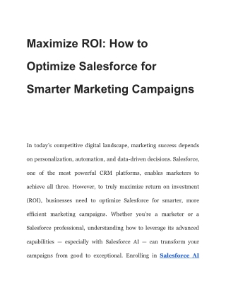 Maximize ROI: How to Optimize Salesforce for Smarter Marketing Campaigns