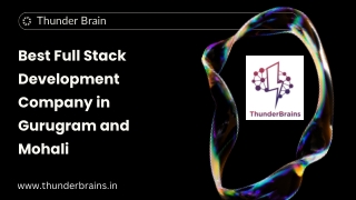 Best Full Stack Development Company in Gurugram and Mohali -Thunder Brainunder Brain