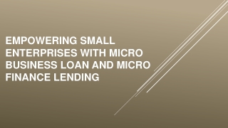 Empowering Small Enterprises with Micro Business Loan and Micro Finance Lending