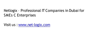 Netlogix – Professional IT Companies in Dubai for SMEs & Enterprises