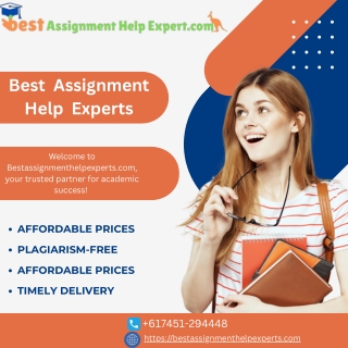 Best Assignment Help Experts (1)