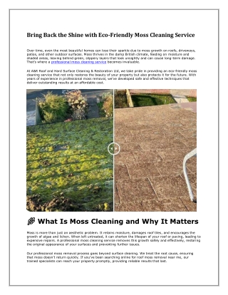 Bring Back the Shine with Eco-Friendly Moss Cleaning Service
