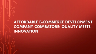 Affordable E-commerce Development company Coimbatore