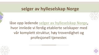 selger av hylleselskap Norge