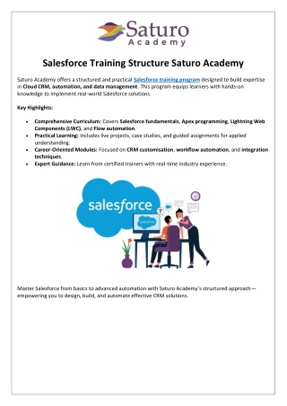 Salesforce Training Structure Saturo Academy