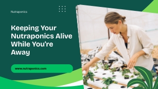 Backup Power and Safety Tips Before You Leave | Nutraponics Reviews