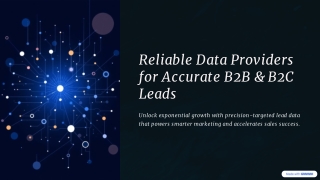 Reliable Data Provider for Accurate B2B & B2C Leads