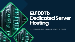 Dutch dedicated server
