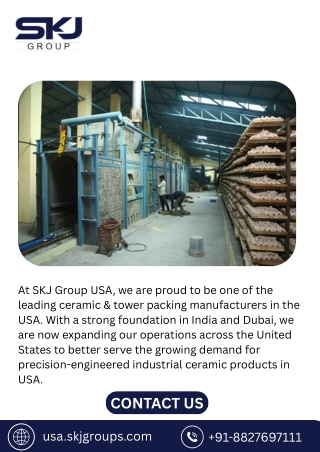 Ceramic Saddles High-Performance Tower Packing