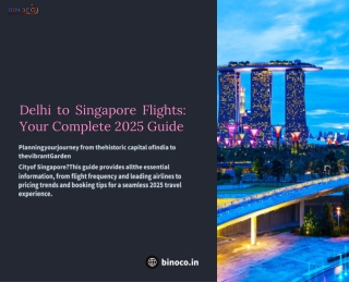 Delhi to Singapore Flights Your Complete 2025 Guide