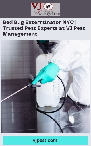 Bed Bug Exterminator NYC  Trusted Pest Experts at VJ Pest Management