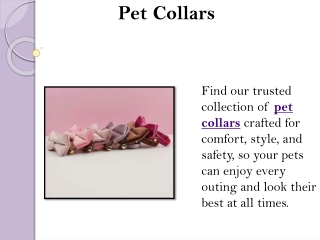 Pet Collars