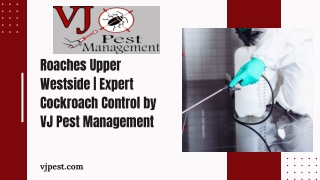 Roaches Upper Westside  Expert Cockroach Control by VJ Pest Management