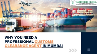 Why You Need a Professional Customs Clearance Agent in Mumbai