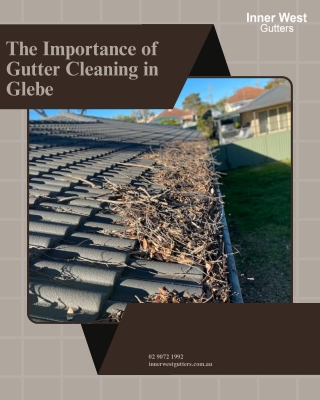 The Importance of Gutter Cleaning in Glebe