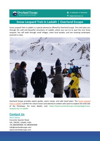 Snow Leopard Trek in Ladakh