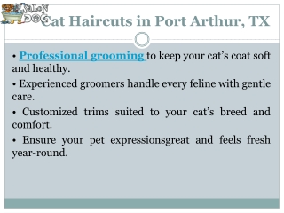 Dog Teeth Brushing in Beaumont, TX