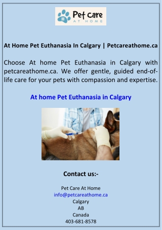 At Home Pet Euthanasia In Calgary Petcareathome.ca