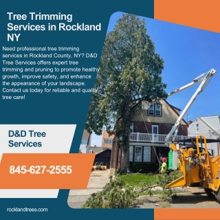 Tree Trimming Services in Rockland NY  D&D Tree Services