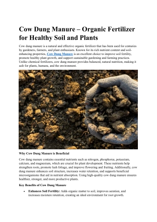 Cow Dung Manure – Organic Fertilizer for Healthy Soil and Plants