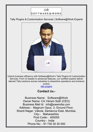 Tally Plugins & Customization Services | Software@Work Experts