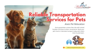 Best Pet Transportation Services | Safe & Hassle-Free Pet Travel Worldwide