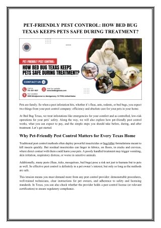 Pet-Friendly Pest Control: How Bed Bug Texas Keeps Pets Safe During Treatment