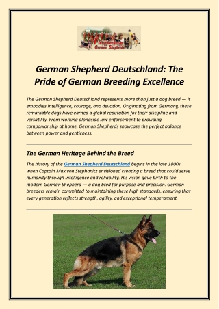 German Shepherd Deutschland The Pride of German Breeding Excellence