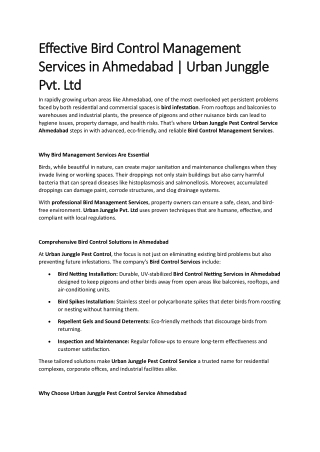 Effective Bird Control Management Services in Ahmedabad